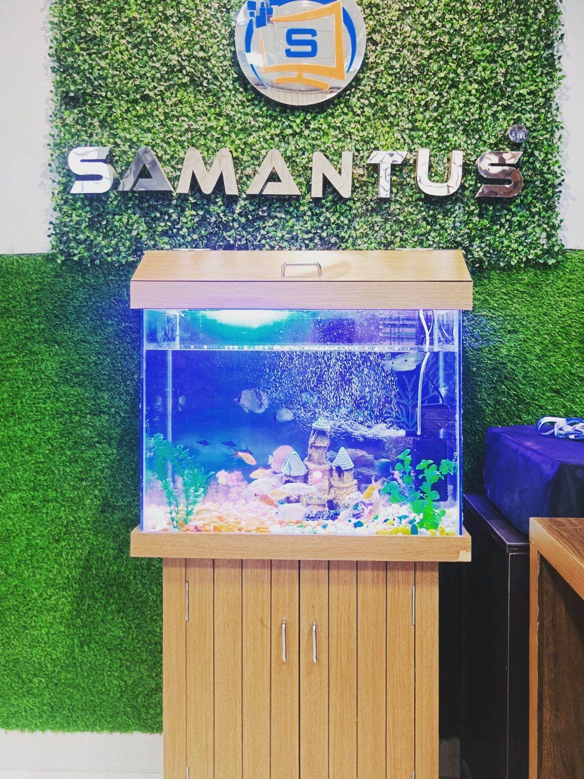 Samantus student certificate
